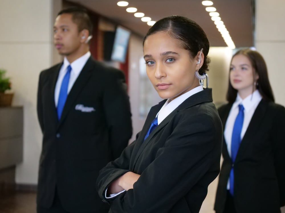 Brosnan Lobby Guards 152-1