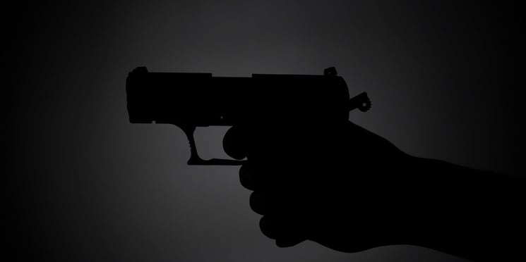 Best Security Guard Company in NYC fights gun voilence!